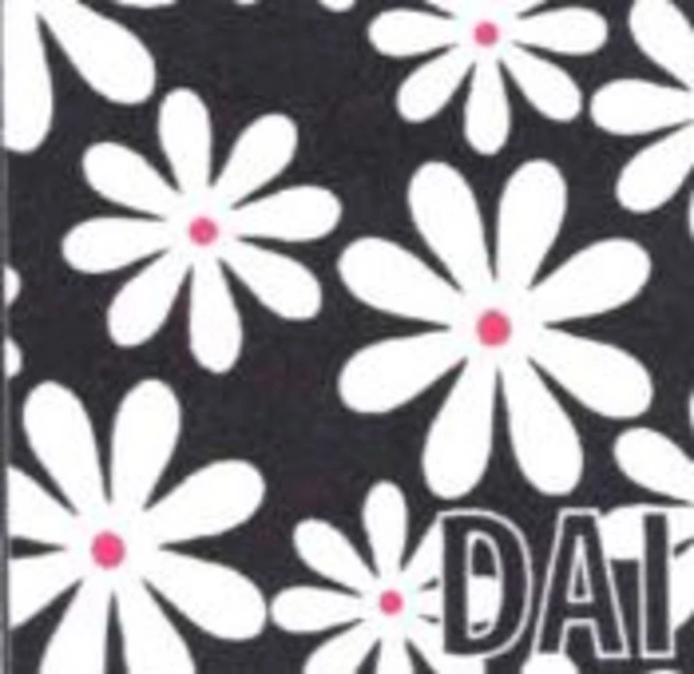 Lulu B Zipper Swing Dress 3 Lulu B Zipper Swing Dress - Image 3